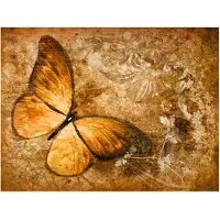 Artgeist butterfly (sepia) fototapetti