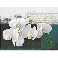 Artgeist Orchid - runoilijan inspiraatio fototapetti
