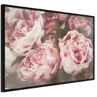Artgeist Pastel Peonies juliste