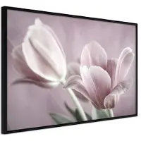 Artgeist Pastel Tulips I juliste