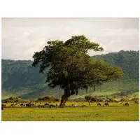 Artgeist In a crater of Ngoro ngoro fototapetti