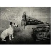 Artgeist Dog's melodies fototapetti