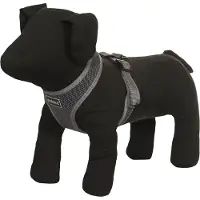 Rukka Comfort Air harmaa koiran valjas