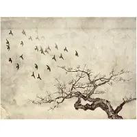 Artgeist Flock of birds fototapetti