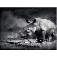 Artgeist Rhinoceros menetetty haaveilen fototapetti