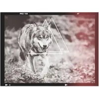 Artgeist wolf - photo fototapetti
