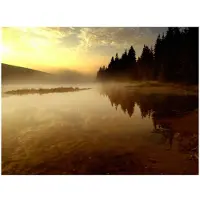 Artgeist Metsätalouden ja järvellä fototapetti