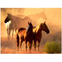 Artgeist Wild hevoset steppe fototapetti