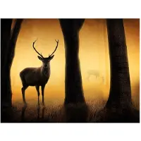 Artgeist Deer in his natural habitat fototapetti
