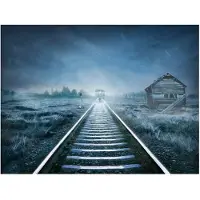 Artgeist Kummitusjuna fototapetti