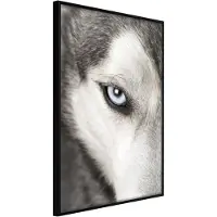 Artgeist Azure Eye juliste