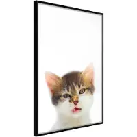 Artgeist Funny Kitten juliste