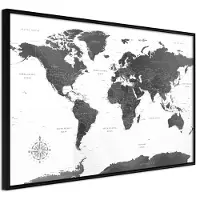 Artgeist The World In Black and White juliste