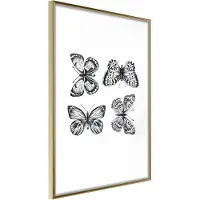 Artgeist Butterfly Collection Iii juliste