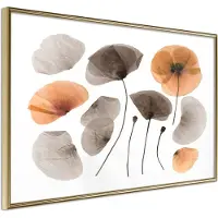 Artgeist Dried Poppies juliste