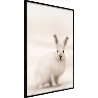 Artgeist Curious Rabbit juliste