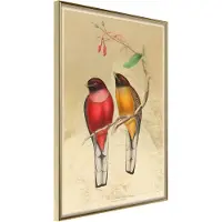 Artgeist Ornithologist'S Drawings juliste