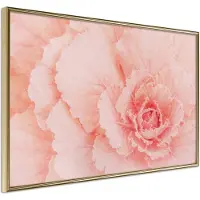 Artgeist Delicate Petals juliste