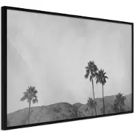Artgeist Sky Of California juliste