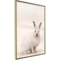 Artgeist Curious Rabbit juliste