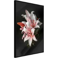 Artgeist Pale Pink Lilies juliste