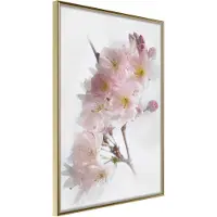 Artgeist Scent Of Spring juliste