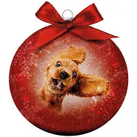 Plenty Gifts Plenty Huurre hassu koira joulupallo
