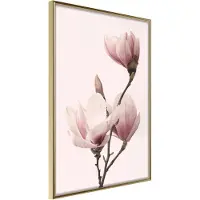 Artgeist Blooming Magnolias Iii juliste