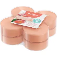 Bolsius True Scents 8 kpl maxi lämpökynttilä