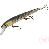 Nils Master Invincible 15 cm vaappu