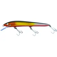 Nils Master Invincible 15 cm vaappu