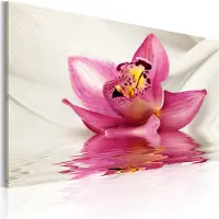 Artgeist Unusual Orchid taulu