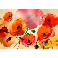 Artgeist Velvet Poppies fototapetti