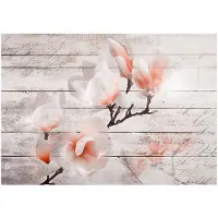 Kärkkäinen Artgeist Subtlety Of The Magnolia fototapetti