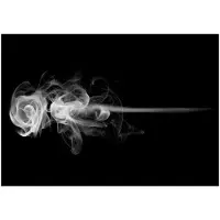 Artgeist rose (smoke) fototapetti
