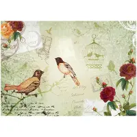 Artgeist Vintage Birds fototapetti