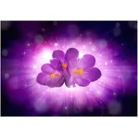 Artgeist Breath Of Spring fototapetti