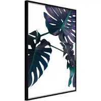 Artgeist Evergreen Monstera juliste