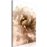 Artgeist Soft Petals taulu