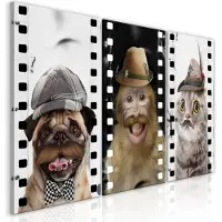 Artgeist Funny Pets (Collection) taulusetti