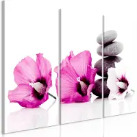 Artgeist Calm Mallow Pink taulusetti