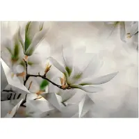 Kärkkäinen Artgeist Subtle Magnolias - Second Variant fototapetti