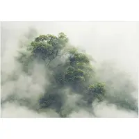 Kärkkäinen Artgeist Foggy Amazon itseliimautuva fototapetti