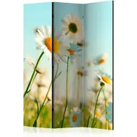 Artgeist Daisies - Spring Meadow 3-osainen sermi
