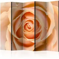 Artgeist Peach-Colored Rose 5-osainen sermi