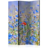 Artgeist A Sky-Colored Meadow - Cornflowers 3-osainen sermi