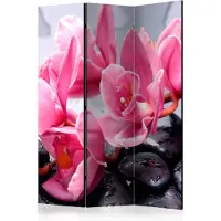 Artgeist Orchid Flowers With Zen Stones 3-osainen sermi