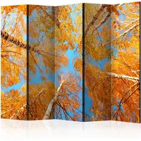 Artgeist Autumnal Treetops 5-osainen sermi