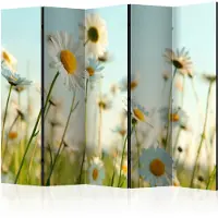 Artgeist Daisies - Spring Meadow 5-osainen sermi