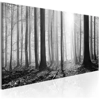Artgeist Black and White forest taulu